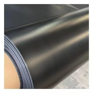 Géomembrane HDPE imperméable et résistante aux UV pour l'agriculture, l'aquaculture, les lagons à boues, les barrages et les étangs - Product Image 6