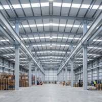 Centro Logístico Industrial de Gran Área, Hangar para Aviones, Almacén Frigorífico, Conjunto Completo de Construcción con Estructura de Acero