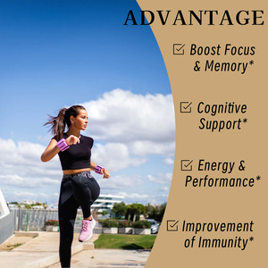 Oem Mushroom Coffee Sodium Powder Support Custom Reishi Mushroom <b>Supplement</b> Shiitake Energy Level Balance Immune System Health - Product Image 5