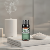 Huile essentielle de Melaleuca 10 ml en gros, huile végétale 100 % pure pour la récupération de la fatigue, diffuseur d'arômes