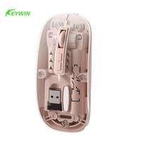 Souris optique sans fil USB transparente 5D, double mode 2.4G BT, LED rechargeable, ergonomique, avec couvercle magnétique, clic silencieux, pour le bureau