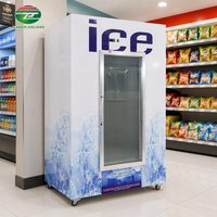 200 sacs Ice Merchandiser Station d'essence extérieure Refroidisseur de glace en sac à porte unique Bac de stockage de glace Congélateur