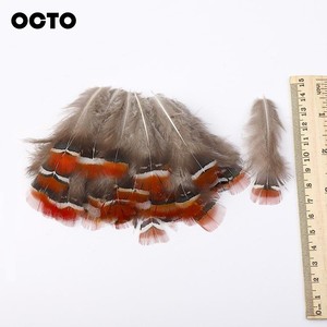 Accessoires de mode pour bricolage 100 pièces 4-8CM Timmincks naturel Satyr trogaan plumes de Plumage de faisan - Product Image 4