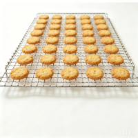 Grille de cuisson, de séchage et de refroidissement perforée en treillis métallique d'acier inoxydable sur mesure, plateau métallique pour fruits secs et aliments, SUS 304