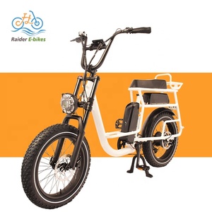 RaiderRover-40F double batterie 20 pouces <span class=keywords><strong>750W</strong></span> vtt vélo électrique hybride vélo électrique à gros pneus pour adultes - Product Image 1