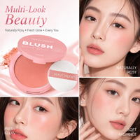 Palette de fards à joues en gros : Fard à joues longue tenue, éclat naturel, effet brume douce, logo personnalisé, fard à joues en poudre waterproof, fard à joues crème