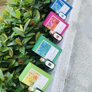 Difusor de Perfume con Fragancia PARA EL Hogar, Ambientador y Desodorante Personalizable PARA LA Decoración del Hogar, Oficina y Coche - Product Image 6