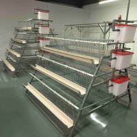Système de cages en batterie de type A grande capacité pour 1000, 5000 ou 10000 poules pondeuses en ferme