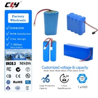 Paket Baterai Isi Ulang Silinder Li-ion Chaoliyang 18650 2000mAh 3.7V Inr 800 Siklus -10-60
