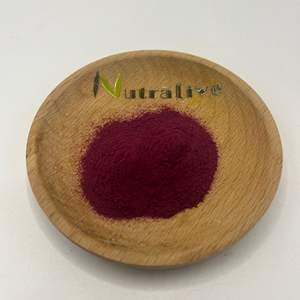 Grosir bubuk buah Bilberry Eropa pabrikan ISO - Product Image 1