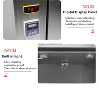 Four à saumon et viande industriel en acier inoxydable, modèle électrique et à gaz, de qualité supérieure, nouvelle arrivée, vente chaude, pour saucisses et poisson