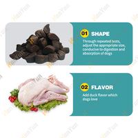 Vente en gros ODM OEM, naturel, promotion de la Vision oculaire, santé, mastication douce, nourriture sèche pour animaux de compagnie, suppléments nutritifs, collation pour chiens