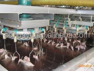 Ligne complète d'abattage de volailles avec certificat CE, équipement automatique de traitement des volailles pour abattoir de poulets - Product Image 3