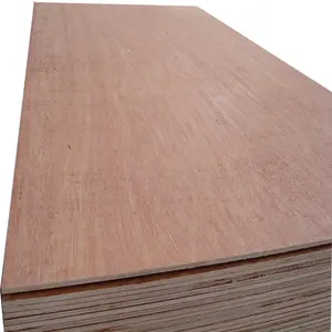Meranti/lauan veneer papan, kayu lapis laminasi kayu inti mewah kulit pintu kayu lapis