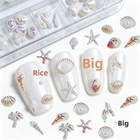 Kit d'accessoires pour nail art 12 compartiments, motifs étoile de mer et coquillage, en alliage ; Bestseller transfrontalier, strass pour ongles effet aurore, coquillage et cocotier