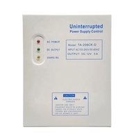 Alimentation sans interruption pour porte de sécurité, boîtier de batterie, indicateur LED, DC 12V 5A 36W, alimentation UPS en acier, contrôle d'accès
