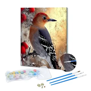 流行可爱鸟Diy数字油画动物系列油画油画和壁画上的数字绘画