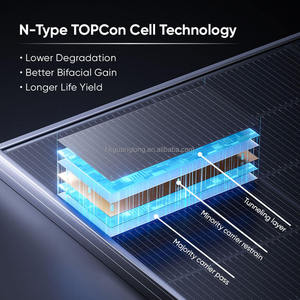 Los Mejores Paneles Solares Monocristalinos Bifaciales de Tipo N Topcon del Mundo, de 800w, con Doble Cristal, para Uso en Techos de Casas y Granjas - Product Image 5