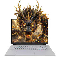 Laptop Gaming Mechrevo Canglong 18 Pro Prosesor AMD Layar 180Hz 18 inci 2560x1600 GPU Khusus Penyimpanan SSD Keyboard RGB Backlit