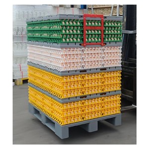 Fewer Breakages And Resuable Poultry <strong>Egg</strong> Handling Systems <strong>Egg</strong> Pallet Dividers And <strong>Egg</strong> Trays Systems - Product Image 3