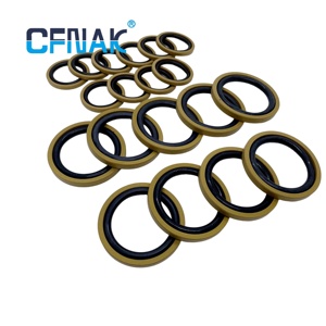 Le joint d'étanchéité CFNAK <span class=keywords><strong>Gley</strong></span> Ring possède une fonction d'étanchéité bidirectionnelle et une faible friction sans glissement. - Product Image 1