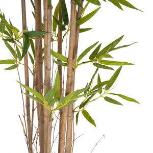 USA Warehouse 2026 Summer Hot Sale Artificial Bamboo <b>Tree</b> 175 Centimeters Create An Elegant Bamboo Forest Atmosphere - Product Image 3