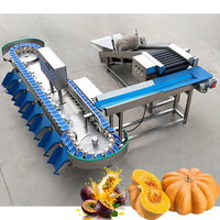 Industriële PLC-gestuurde sorteermachine complete set voor fruit, groente en vlees, complete productielijn