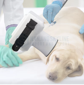 Sistema de Raio-X <span class=keywords><strong>Digital</strong></span> Portátil para Pequenos Animais, Equipamento de Cirurgia Veterinária Reutilizável, Seguro e Durável para Odontologia Canina - Product Image 5