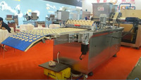 Machine de dépôt/extrudeuse de biscuits HYSQJ-600 populaire petite ligne de Production automatique