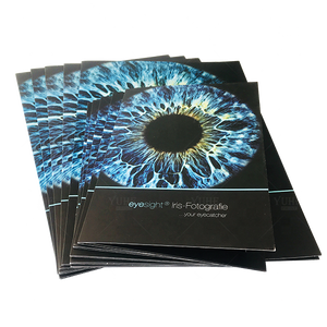 Bìa Đựng Hồ Sơ Nhà Cung Cấp Trung Quốc Giá Thấp Bìa Đựng Tài Liệu Khổ A4 In Logo Tùy Chỉnh - Product Image 1