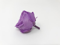 Rose stabilisée violette naturelle, fleur éternelle longue durée pour décoration DIY de la maison