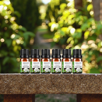 Gardenia minyak esensial 10ml, dengan aroma segar dan halus untuk orang yang perhatikan perawatan kulit dan di bawah stres tinggi