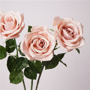 C-071 Vente en gros <span class=keywords><strong>de</strong></span> roses artificielles en latex bleu et rose poussiéreux au toucher réel pour la décoration <span class=keywords><strong>de</strong></span> <span class=keywords><strong>mariage</strong></span> et <span class=keywords><strong>de</strong></span> la maison, centres <span class=keywords><strong>de</strong></span> <span class=keywords><strong>table</strong></span> chics en forme <span class=keywords><strong>de</strong></span> rose - Product Image 3