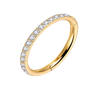 Anillos de <span class=keywords><strong>Nariz</strong></span> de <span class=keywords><strong>doble</strong></span> aro de acero quirúrgico 316L con bisagras CZ Conch <span class=keywords><strong>Piercing</strong></span> joyería Septum Clicker labio anillo Tragus Daith 16G 6/8/10/12mm - Product Image 3
