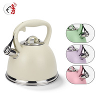 Bouilloire à thé élégante en acier inoxydable de 3 litres, finition mate, avec sifflet, théière minimaliste pour cuisinière, idéale pour cuisine moderne