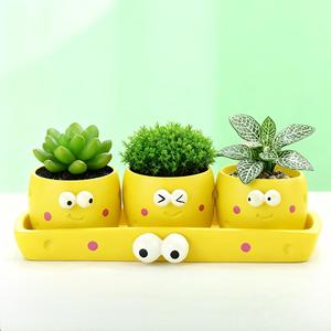 MSH Pots en résine pour micro-paysages, style dessin animé, pour fougères d'intérieur et plantes <span class=keywords><strong>vertes</strong></span> de bureau - Product Image 5