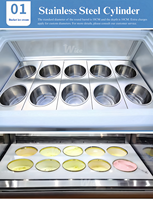 Vitrine Réfrigérée Verticale pour Crèmes Glacées Marque WICE, Matériau en Acier Inoxydable de Haute Qualité, Réfrigérateur à Crèmes Glacées