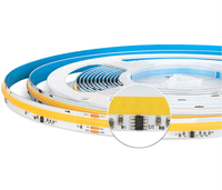 Светодиодная лента COB для скачек, DC24V, 360 светодиодов/м, микросхема WS2811, эффект бегущей воды, беспроводное дистанционное управление, линейное освещение 10-20 м