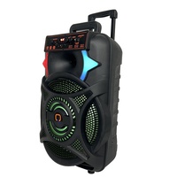 Haut-parleur de karaoké sur chariot en plastique avec LED RGB, 12 pouces, 20W, subwoofer de 12 pouces, avec poignée et roues - Prix usine