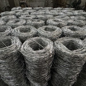 Рулонная оцинкованная колючая проволока с защитой от перелезания - Высокозащитная колючая лента для охраны периметра - Product Image 4