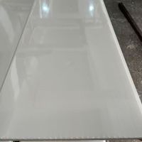 Plafonds légers en plastique, tuiles de toiture en PVC, panneaux de plafond haute brillance pour hall intérieur
