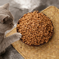 Nourriture sèche pour chats riche en protéines, de haute qualité, meilleur choix, saveurs personnalisées, haute appétence, nutrition naturelle riche, faible teneur en matières grasses, digestif