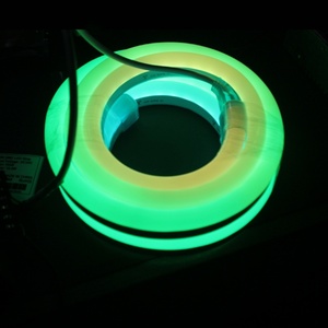 Tira de Luz LED RGB de Neón Dinámica con Forma de Domo, 24V, IP68, Impermeable, para Paisajismo - Product Image 5