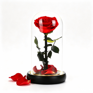 Rosa Natural Preservada, Rosa Eterna de Larga Duración para el Día de San Valentín, Bodas, Cumpleaños, Decoración del Hogar, Regalo - Product Image 1