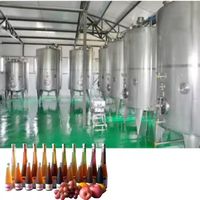 Commerciële Productielijn Appelcider Fruit Azijn Voor Azijn Plant Prijs