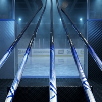 Bâtons de hockey sur glace de marque modèle 2026, fabriqués en Chine, prix de gros