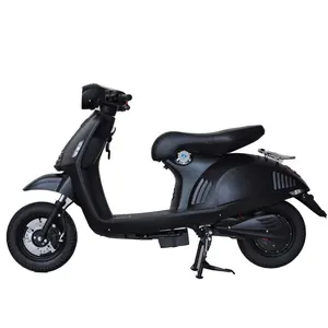 Nuovo modello popolare 1000W 1500W motore due ruote eBike elettrico città bicicletta Scooter moto moto