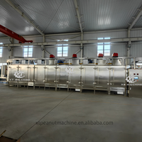 Machine de torréfaction à bande transporteuse à gaz continu pour noix, avec torréfacteur automatique en acier inoxydable pour arachides Hypogaea/noyaux d'abricot