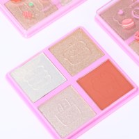 Nouvelle palette de maquillage 2-en-1 multifonctionnelle : fard à joues et illuminateur, pigmenté, scintillant, waterproof et longue tenue