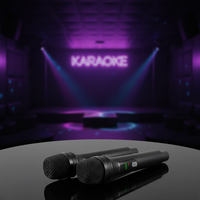 Système de microphone sans fil portable rechargeable à 2 canaux avec suppression du bruit, design métallique, idéal pour amplificateur de karaoké - Vente chaude